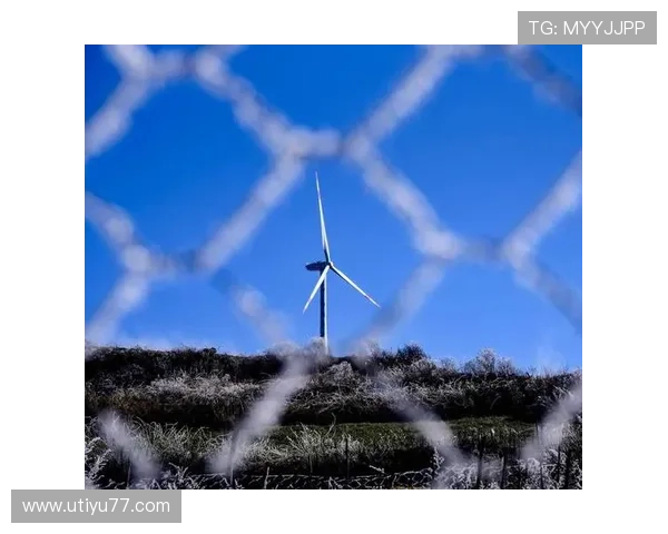 不来梅直播:德国港口城市的实时风貌与人文探索 不来梅直播:德国港口城市的实时风貌与人文探索